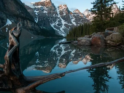 111Hz Cellular Healing