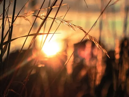 111Hz Connect To You Higher Self