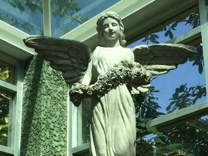 111 Hz Divine Healing Meditation For Stress & Harmony