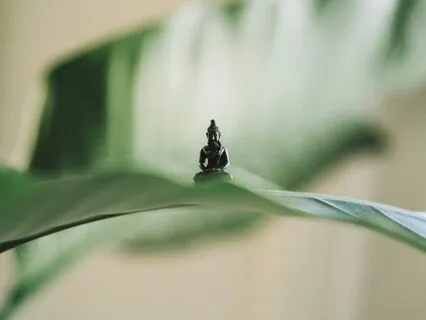 111 Hz Find Stillness & Inner Peace