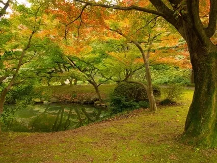 111Hz + 333Hz Cellular Healing And Answers To Your Prayers (Deep Healing Track)