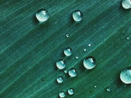 111 Hz White Noise: Forest Rain On Water