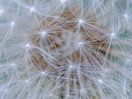 Weightless Weightless Weightless