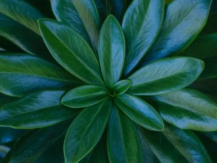 Centering Centering In Stillness Stillness