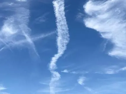 Spinal Spinal Awareness