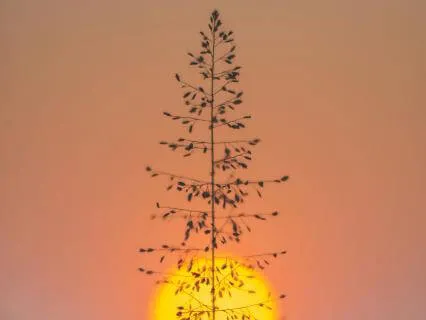 Sensory Sensory Sensory Unity