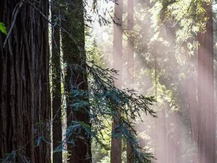 Grounding Grounding Grounding