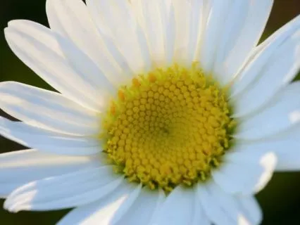 You Are Awareness Awareness Awareness