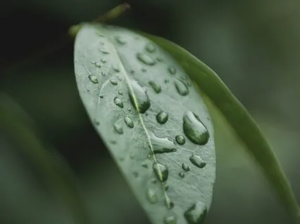 114 Hz - Frequencies For Deep Meditation