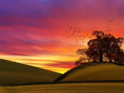 11h Powerful Healing & Deep Sleep