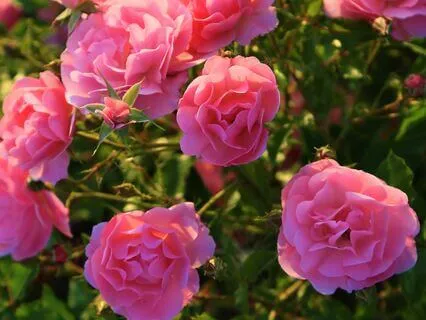 12:12 Portal Transforming Inner Conflict Into Blessings