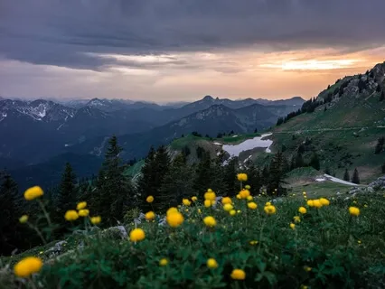 12:12 Transmission – Global Healing