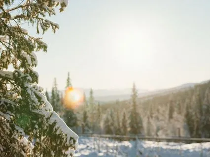 12 Days Of Christmas Day 10