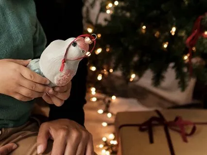 12 Days Of Christmas Day 6