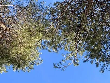 12 Days Of Clarity For Daily Awreness