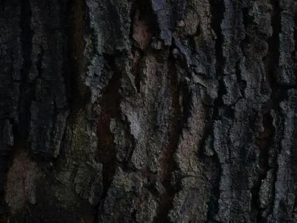 12-Hour Dark Umber Noise For Ultra Deep Sleep