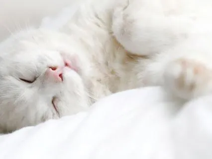 12 Hour Soft Dreamy White Noise