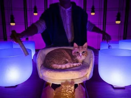 12-Hour Sound Bath For Deep Sleep