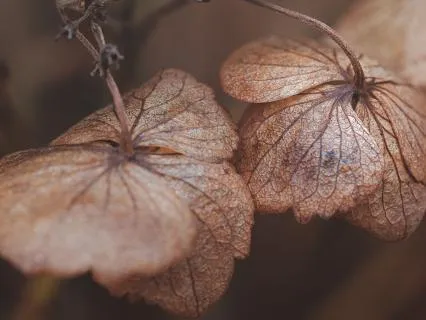 12 Hours Brown Noise for Sleep, Study, Focus