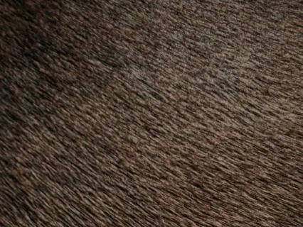 12 Hours of Resonant Brown Noise