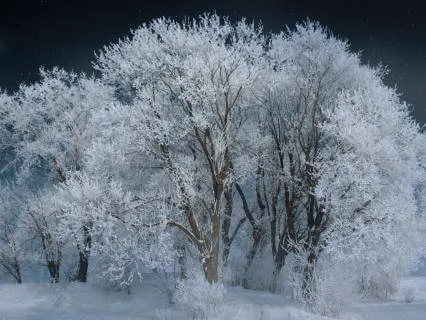 12 Hours White Noise for Sleep, Study, Focus