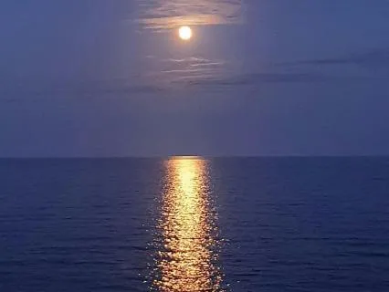 12 HR Deep Sleep Reiki Ocean Meditation