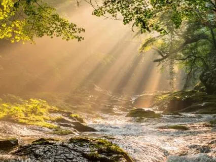 12-Min River Sounds Meditation For Anxiety Relief