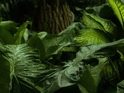 12-Minute Body Recovery Meditation