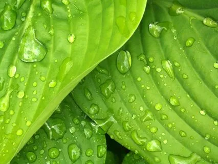 12 Minute Energy Boost 22 Hz Isochronic Tones