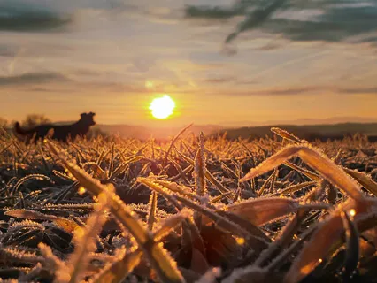 12 Minute Loving-Kindness Guided Practice