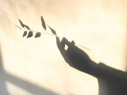 12 Minute Meditation For Mindfulness | Let Go Of Worry