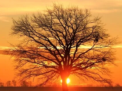 12-Minute Morning Breathing Meditation