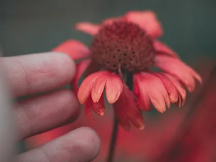 12 Minute Self-Compassion Recharge Practice