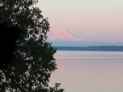 12 Minute Standing Mindful Movement (MBSR)