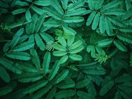 12 Minutes Creativity Meditation 