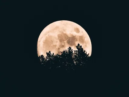 12 Simple Steps To Fall Asleep By Relaxing Your Brain 3