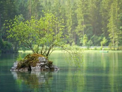 12 Step Meditation - A Turning Point