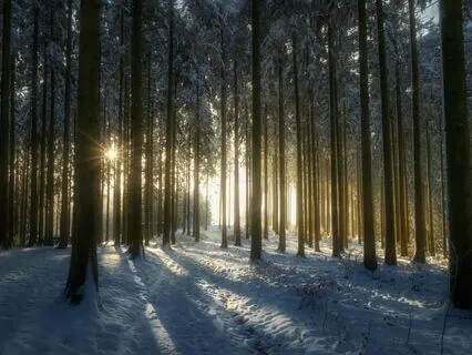 12-Step Recovery - A Short Breathing Meditation