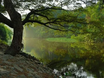 12 Step Recovery - Step 4 Meditation