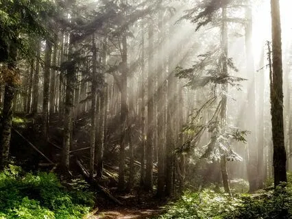 12 Step Recovery - Step 6 Meditation