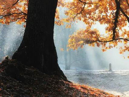 12 Step Recovery - Step 7 Meditation