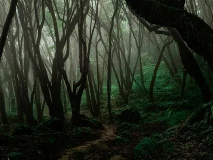 12 Step Recovery - Step 8 Meditation