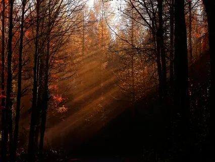 12 Step Recovery - Step 9 Meditation