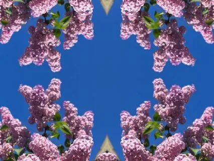 12 Step Sensory Gratitude Meditation