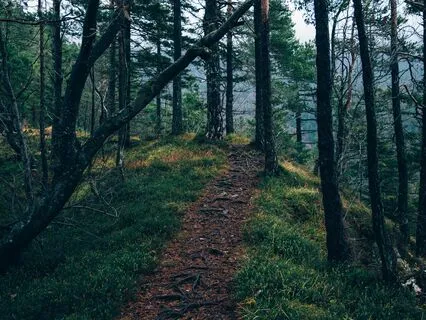 12 Step Recovery - Step 1 Meditation