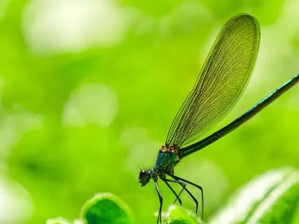 12 Themes Of Transformation