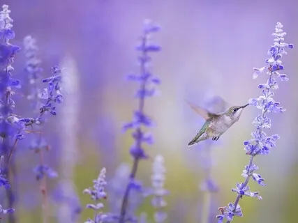 12 Things To Let Go Of To Succeed