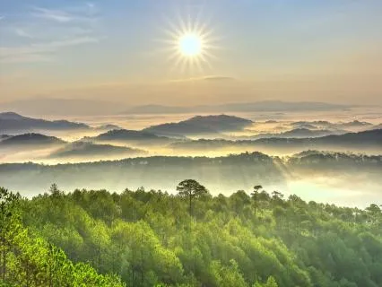 128 Hz + 174 Hz + 285 Hz Tuning Forks for Healing (Alpha)