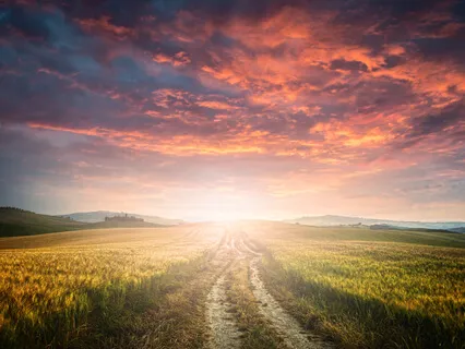 12D Shield Meditation