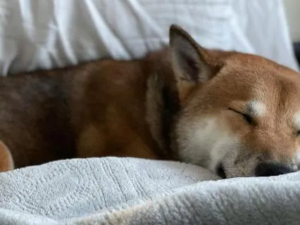 12hrs Of Sweet Sleep